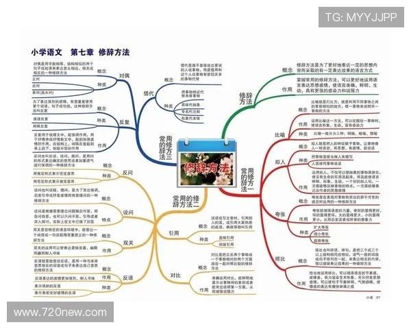 全面解析啦啦队规则与评分标准助你轻松掌握比赛关键技巧