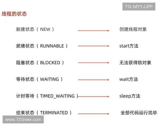 从零开始的极限运动入门指南与安全技巧全解析装备选择训练路线新手必读